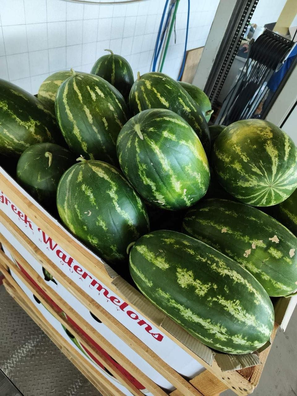 Watermelons